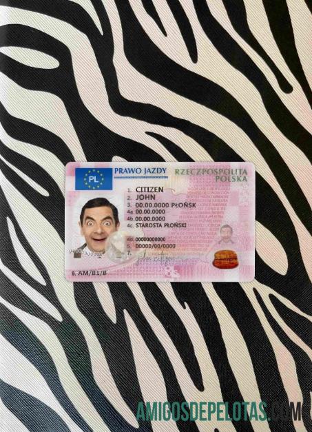 Polônia DL 2019 Presente fotolook frente exemplo